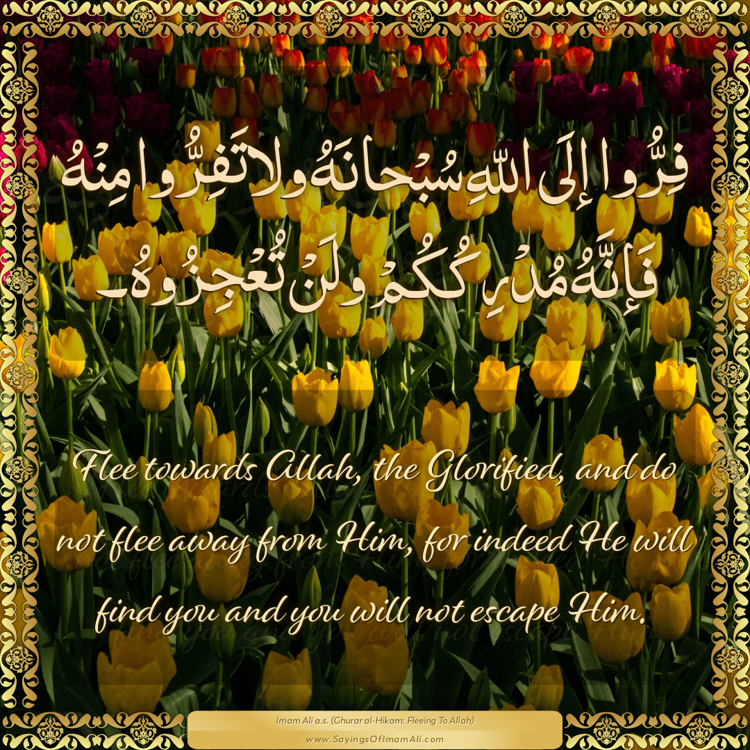 Flee towards Allah, the Glorified, and do not flee away from Him, for...